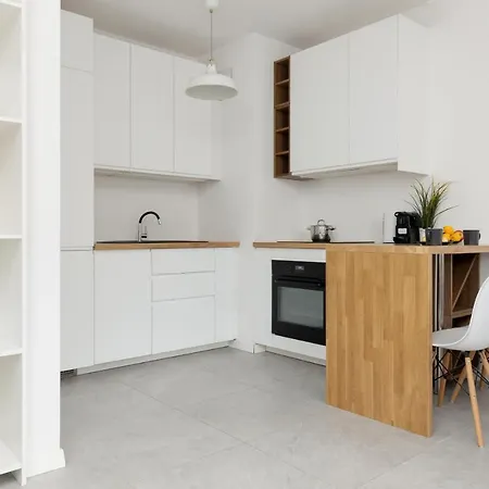 Stylish One Bedroom In By Renters Apartment Warsaw